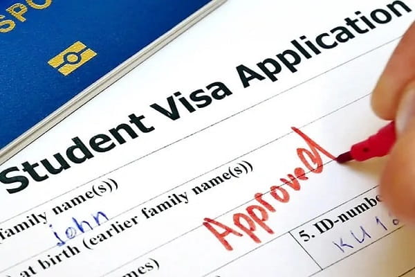 How To Apply For A Study Visa (Step-By-Step)